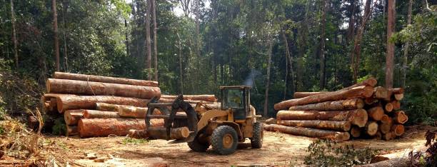 Mulching Services in Marianne, PA